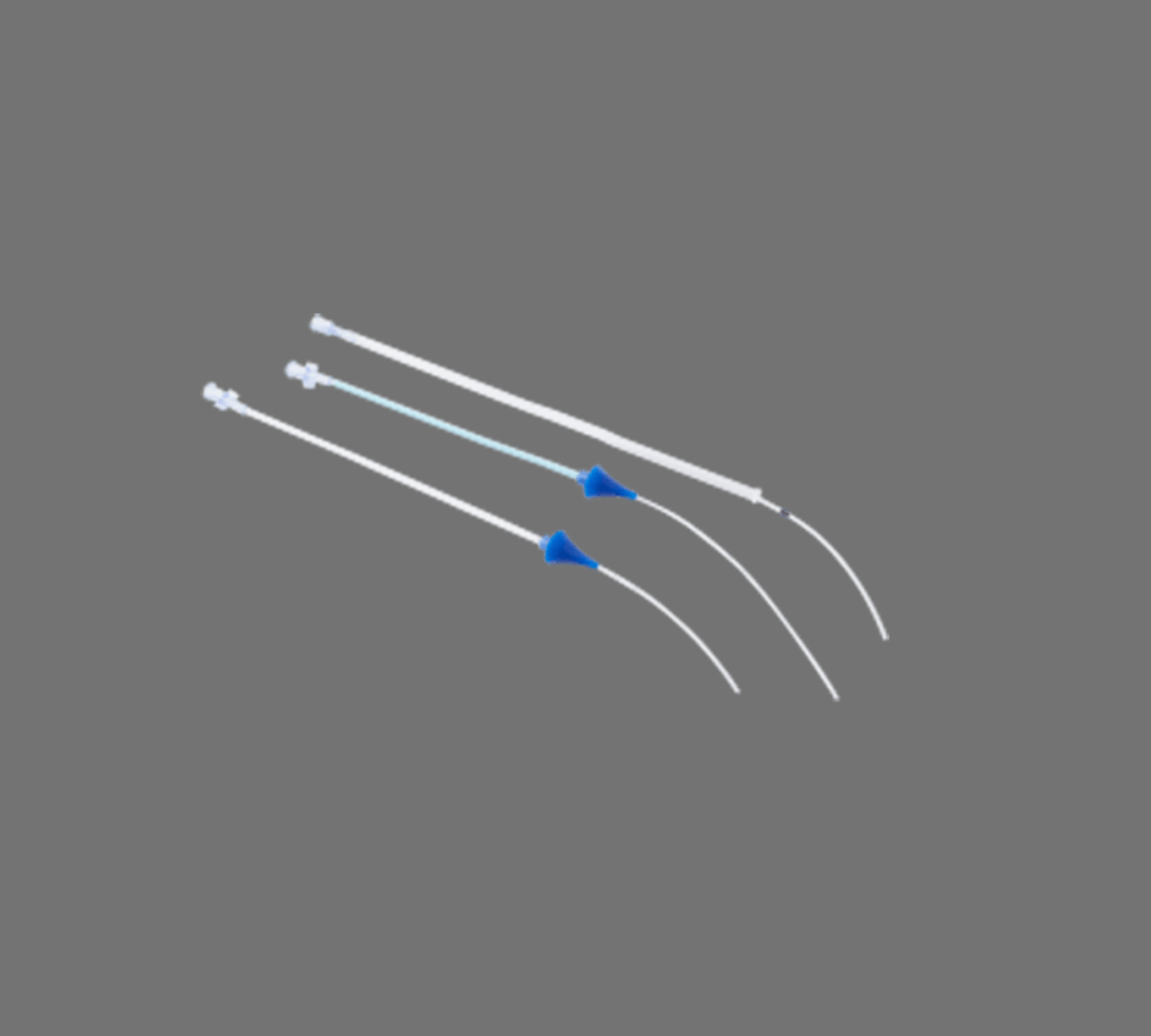 Bellota Sono Catheter / Uterine Introducing  